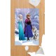 Elsa Anna Frozen Çocuk Odası Halısı